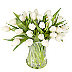 30 White Tulips with Vase