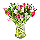 Pink Mix Tulips with Vase