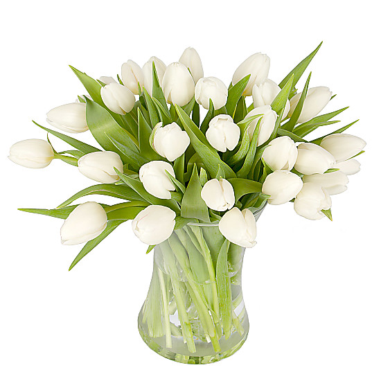 30 White Tulips with Vase
