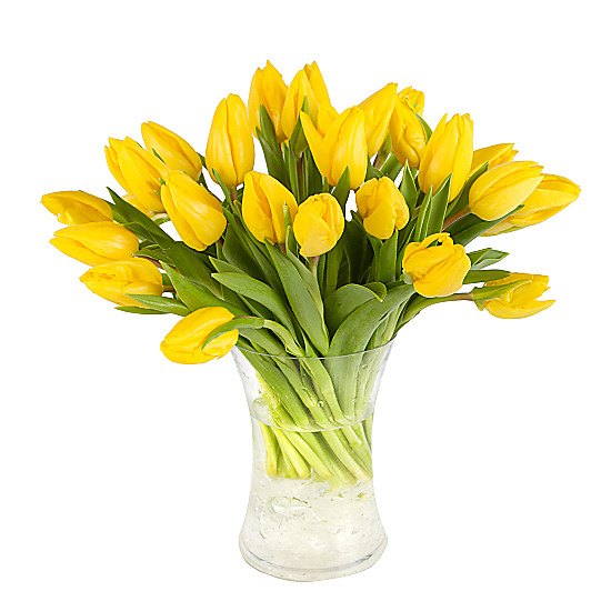 30 Yellow Tulips with Vase