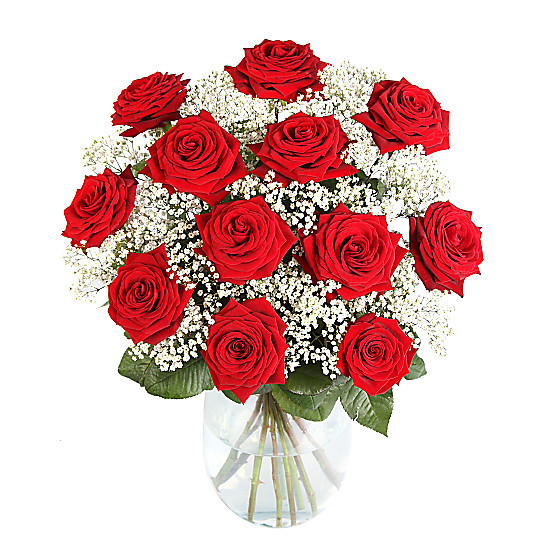 12 Luxury Red Roses with Gyp