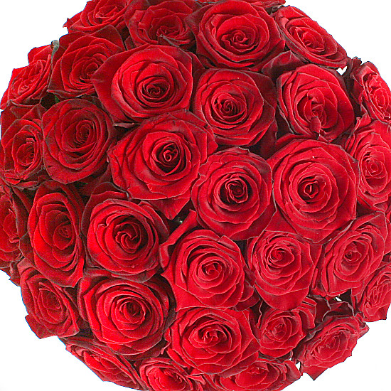 Mass of Red Roses
