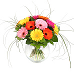 Gerbera Bouquet