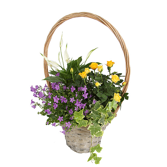 Bright Blooms Basket