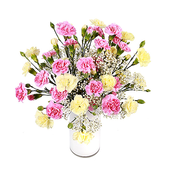 Carnations - Pleasure is Mine Bouquet