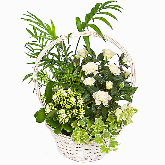 White Blooms Basket