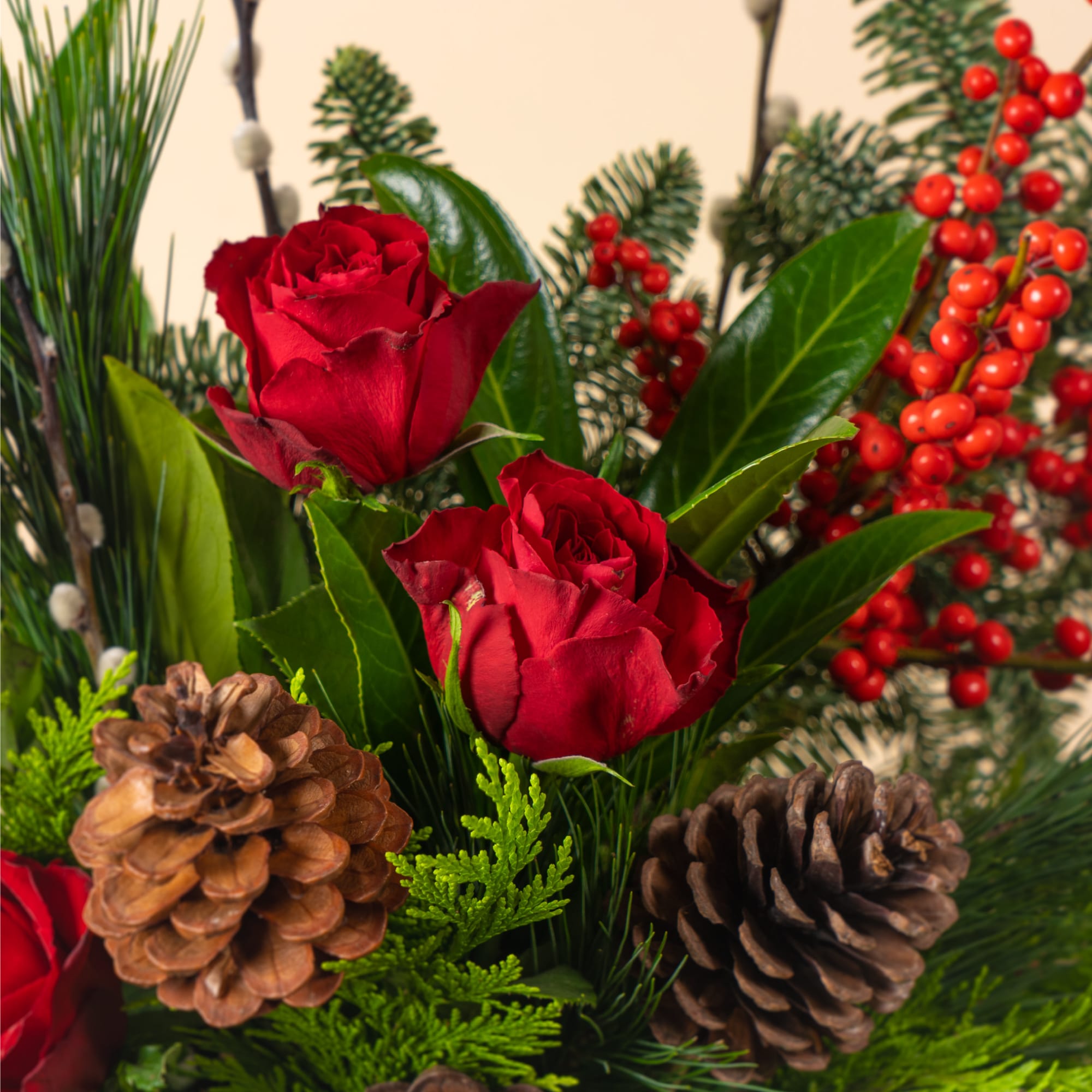 Christmas flowers hot sale online