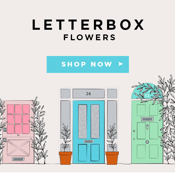 Get well letterbox in UK