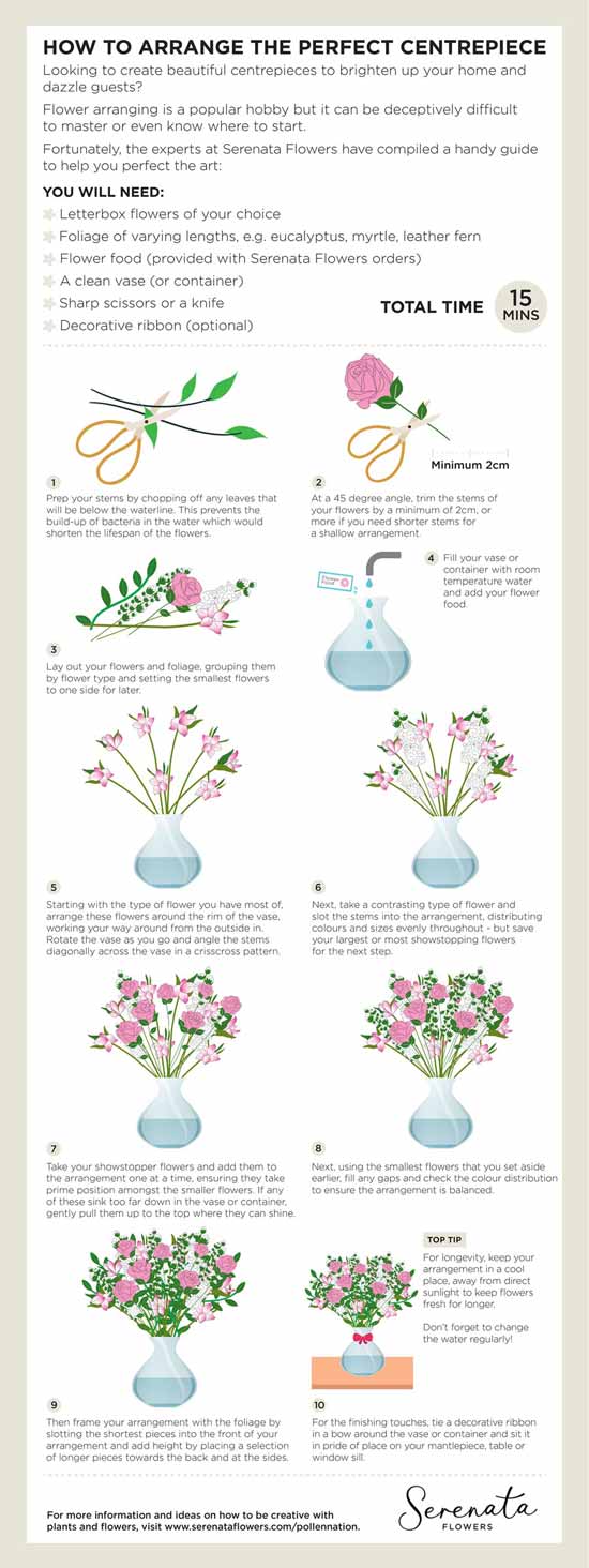 Hobby Nation Infographic by Serenata Flowers