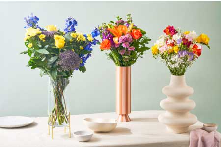Beautiful flowers in vases