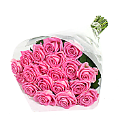 20 Luxury Pink Roses