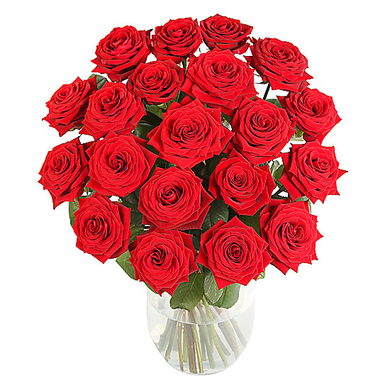 Click to view product details and reviews for 20 luxury red roses.