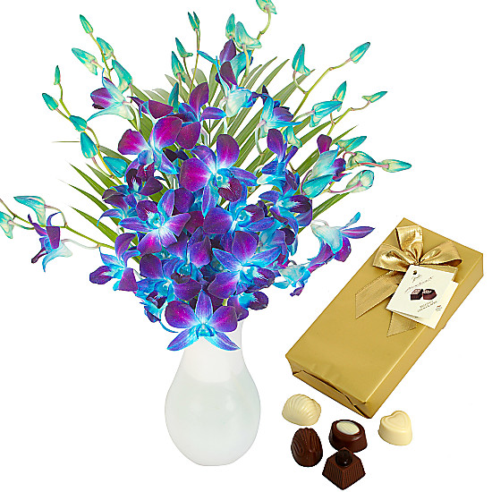 Blue Dendrobium with Chocolates