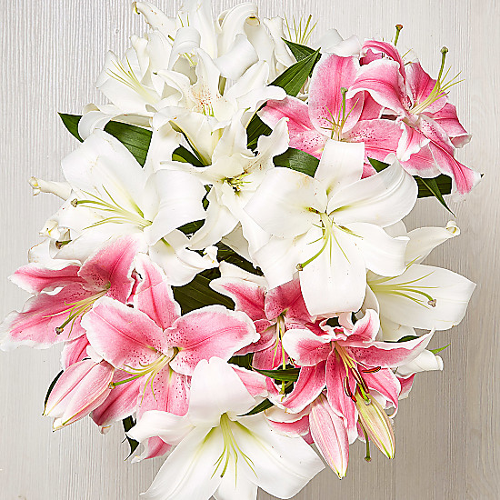 Lush Lillies