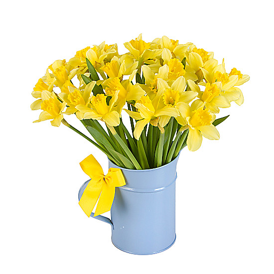 UK Daffodils with Jug