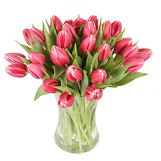 30 Pink Tulips with Vase