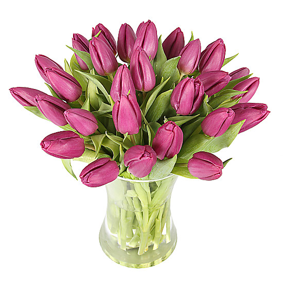 30 Purple Tulips with Vase