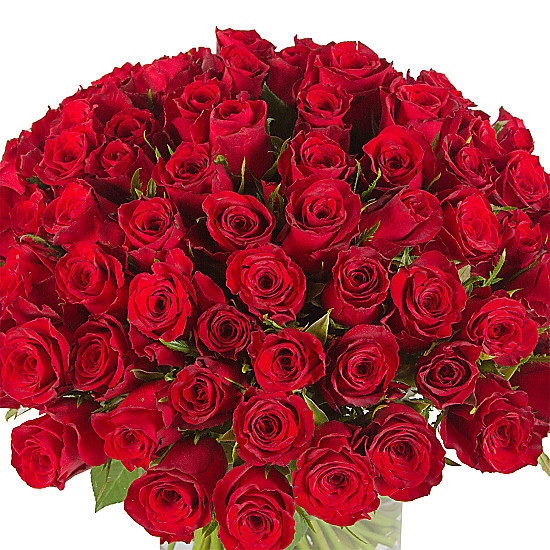 100 Red Roses - delivered next day