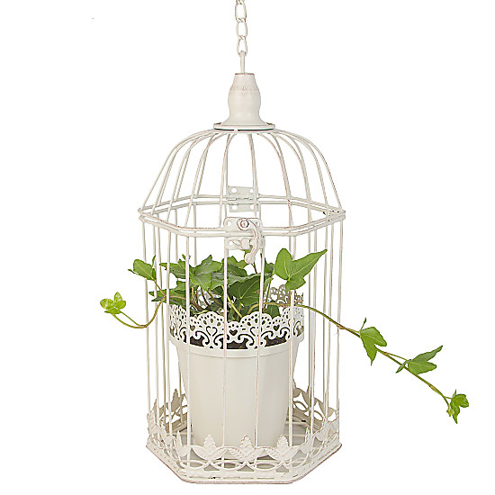 Hanging Ivy Birdcage