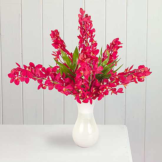 Click to view product details and reviews for Red mokara orchids.