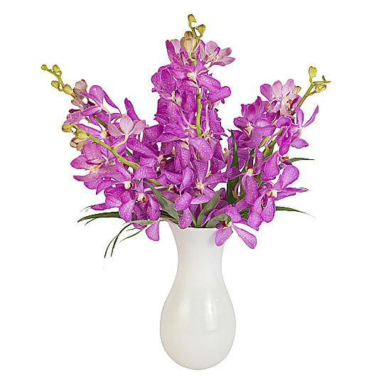 Click to view product details and reviews for Purple mokara orchids.