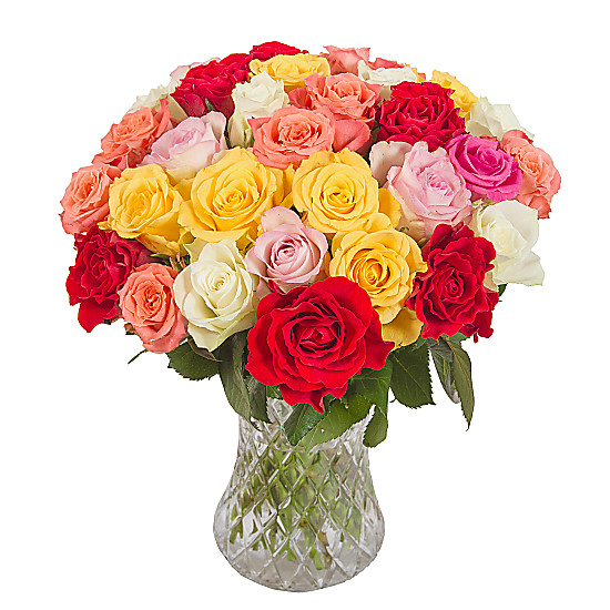 30 mixed roses