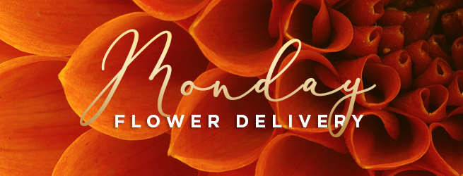 Monday Flower Delivery in UK | Serenata Flowers