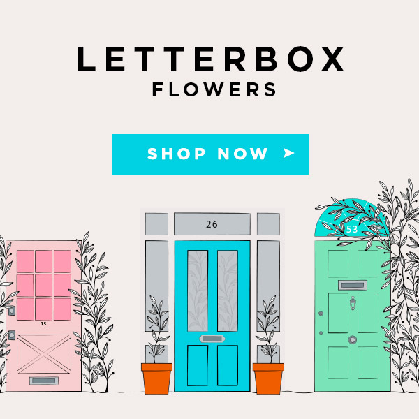 Most Popular White letterbox flowers