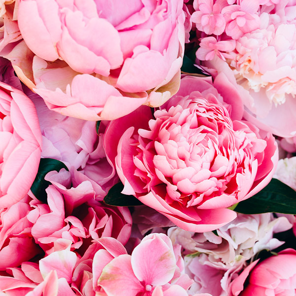 UK New flowers  delivery