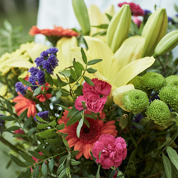 Flowers For You Thinking Of You Flowers Serenata Flowers