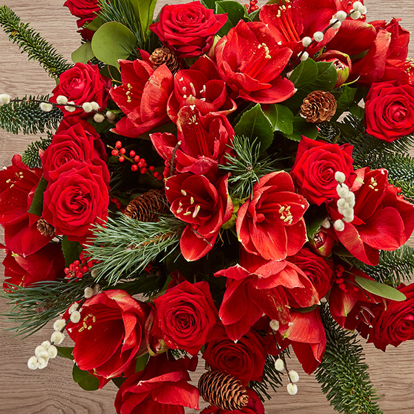 Emma Blog: Best Christmas Flowers For Delivery / 1 : Santa's not the only one who can deliver 