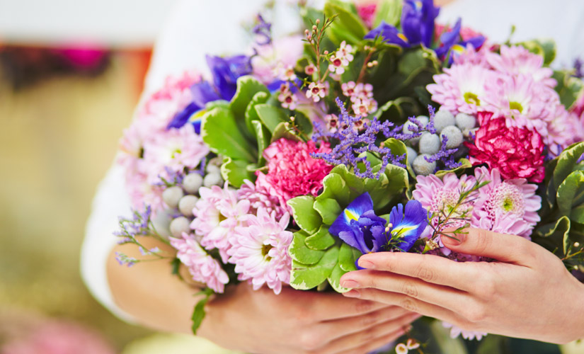 Fleurs De Bon Rétablissement éthique Dusage éclosion